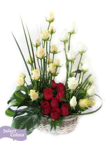 Roses arranged in basket