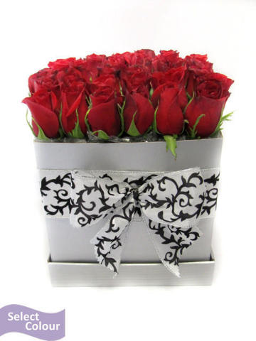 Roses displayed in box