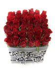 Roses displayed in box