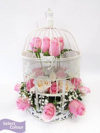 Roses in bird cage