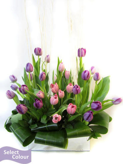 Arrangement of tulips in mirror box