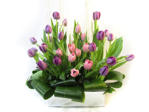 Arrangement of tulips in mirror box