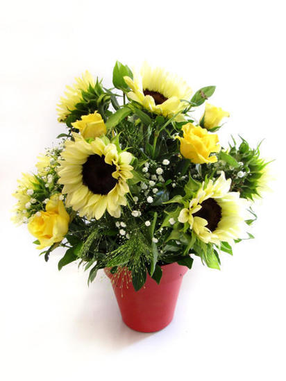 Roses and sunflowers arranged in plastic pot