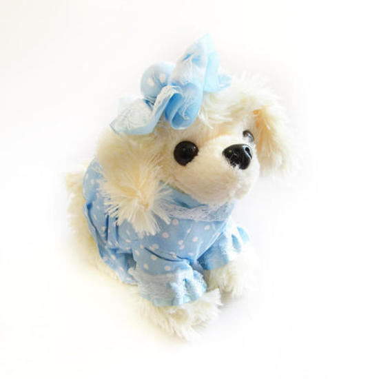 Blue polka dot poodle